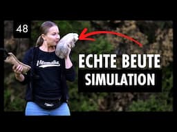 Ernstsimulation 'Aus' | So meisterst du das 'Aus' in Jagdsituationen mit deinem Hund | Tag 48