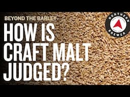 How Craft Malt is Judged and Awarded