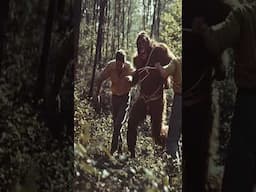 Biologists Capture Bigfoot #youtubeshorts