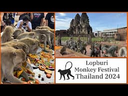 Lopburi Monkey Buffet Festival - Unique Tradition With Thousands of Monkeys - November 2024