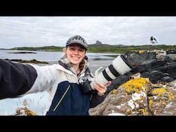 Wildlife Photography on Scotland's Isle of Eigg