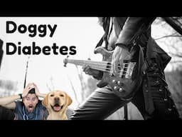 Doggy Diabetes The Official Music Video