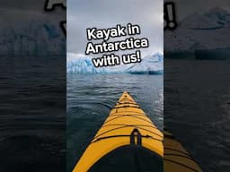 Kayak With Us in Antarctica! #shorts #antarctica #albatrosexpeditions