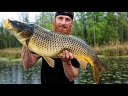 BOW FISHING 1000's of Giant Invasive Carp (and eating them!)