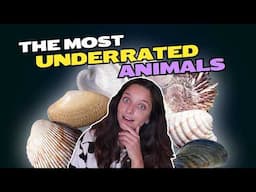 Bivalves - The most underrated animals