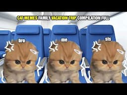 CAT MEMES FAMILY VACATION TRIP COMPILATION FULL