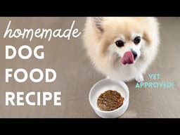 HOMEMADE DOG FOOD - instant pot healthy dog food recipe