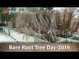 Bare Root Tree Day 2019