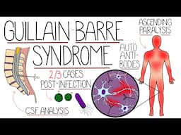 Guillain Barre Syndrome Explained Clearly (Including Subtypes)