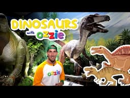 Dinosaur Epic Adventure | T-Rex + Megalodon + Spinosaurus | Amazing Dino Museum