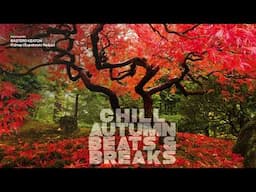 CHILL AUTUMN VIBES BEATS & BREAKS | Top Relaxation Grooves!