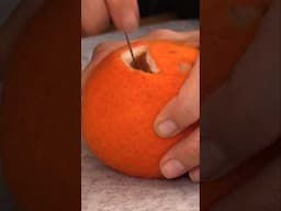 NEW Jack O' Lanterns Beginner Needle Felting Tutorial (and Kit!) Available Now from Living Felt