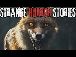 5 Strange & Disturbing Horror Stories