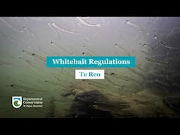 Regulations for Whitebaiting Te Reo