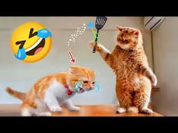 Best Funny Animals Videos 😂😻