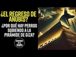 ¿El Regreso de ANUBIS? ¿Por qué hay PERROS subiendo la PIRAMIDE de GIZA