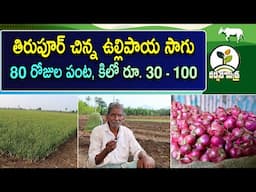 లాభాల పంట తిరుపూర్ చిన్న ఉల్లిపాయ సాగు || Success Story of Tirupur Onion Farming || Karshaka Mitra