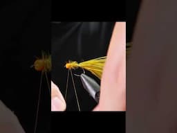 The Ultimate Summer Attractor Trout Fly Pattern