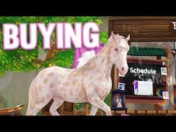 BUYING NEW HORSE + Champion Ranks | Star Stable