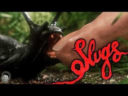 The Disgusting Horror of SLUGS