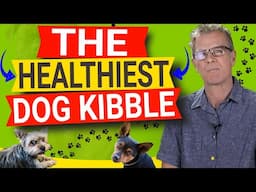 How To Pick The Healthiest Kibble For Dogs (5 Things A Kibble Must Have)