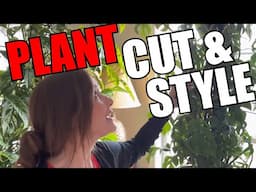 CUT & STYLE SUPER HUGE RHAPHIDOPHORA TETRASPERMA | MY SECRETS to Grow a GIANT Plant! | Plant Haircut