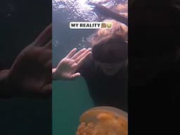 Instagram VS Reality - Swimming With Millions of Jellyfish