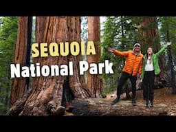 The BIGGEST trees ON EARTH 🤯 2 days in Sequoia National Park (Things to Do)