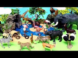 Groups of African Animals - Learn Animal Names for Kids