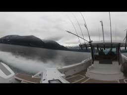 Bertram Yachts 39 in Howe sound