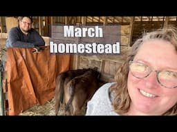 Missouri Homestead : One Year on Our Farm : March