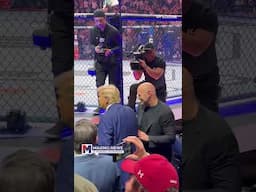 President Donald Trump at UFC 309 in Madison Square Garden, New York