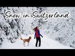 ESCAPE TO NARNIA ❄ Winter Hiking in Switzerland ❄ Snow, Lakes & Swiss Alps Scenery