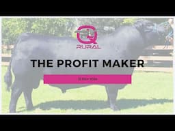 Profit Maker 12/7/2024