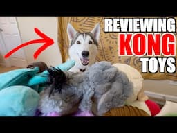 Reviewing Every Kong Toy At Petsmart!!!