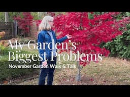 My Garden's Biggest Problems (and How I'll Fix Them in 2025)