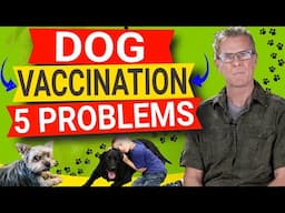 5 Reasons Not To Vaccinate Your Dog