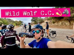 Cycling Los Angeles - Griffith Park Wild Wolf Group Ride!!