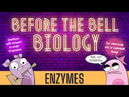 Enzymes: Before the Bell Biology