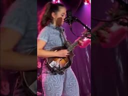 Sierra Hull: "Mad World" Mandolin Solo (Tears For Fears cover) #madworld  #mandolin