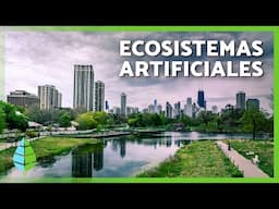 Los ECOSISTEMAS ARTIFICIALES 🌇 (Características, TIPOS de Ecosistemas Artificiales y Ejemplos)