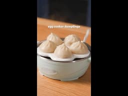 Egg Cooker Dumplings