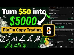 Make $50 To $5000 With BloFin Crypto Copy Trading | BloFin Copy Trading Guide Hindi/Urdu)