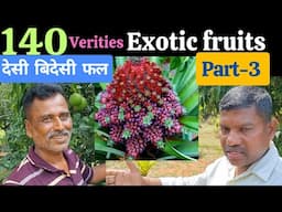 Exotic fruits farm 140 verity, Part-3, Exotic fruits in Tumkur, #exoticfruits