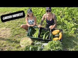 Garden Harvest | Homestead Garden