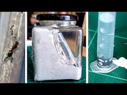 Make a Very Simple Water Tower for Your Ant Tank Using a Cheap Syringe