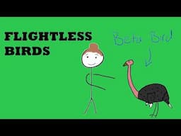 Flightless Birds