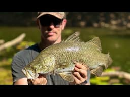 Fishing Creeks & Billabongs For Land Based Barra