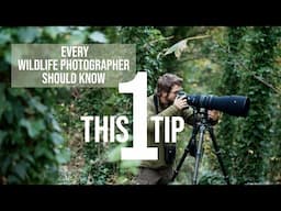 One tip you NEED TO KNOW as a wildlife photographer | Get a shot when it counts!