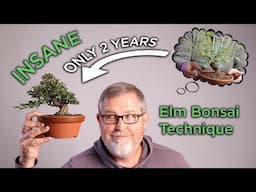 Bonsaify | Achieve INSANE RESULTS from this Unique Bonsai Technique!